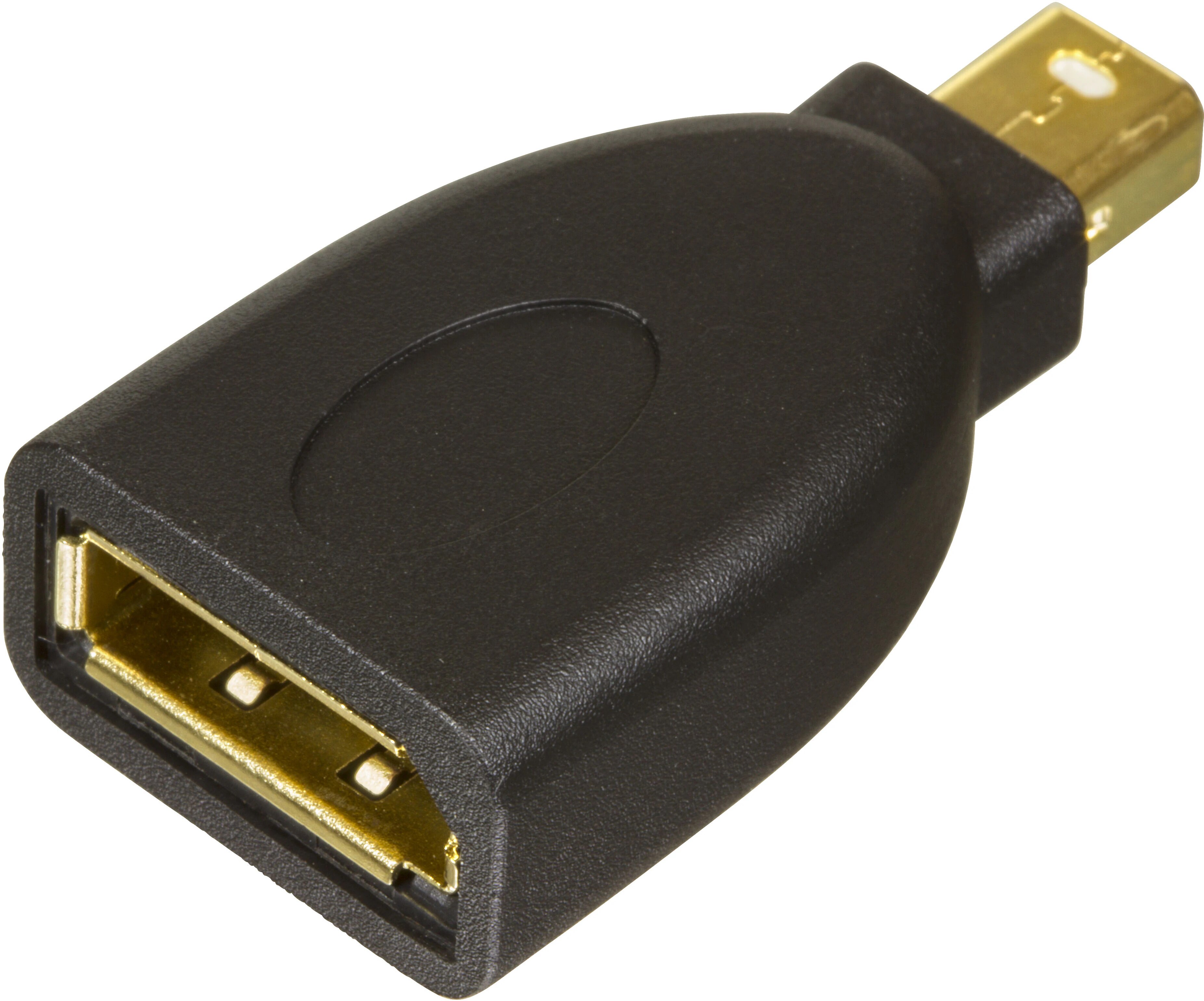 Adattatore da DisplayPort a Mini DisplayPort nero