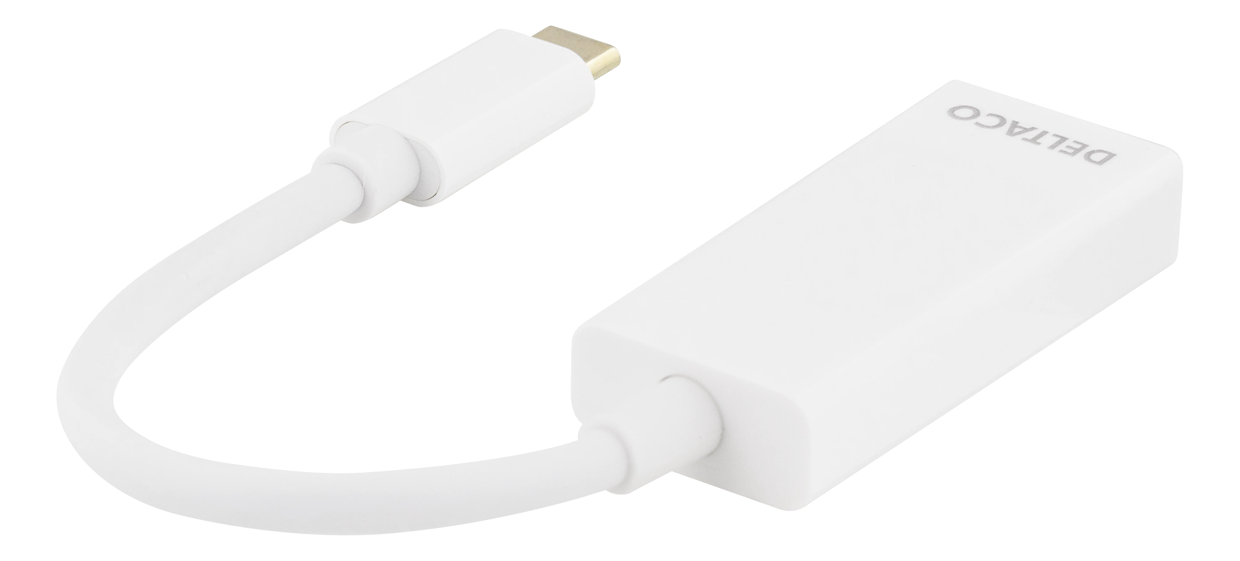 Adattatore da USB-C a DisplayPort bianco